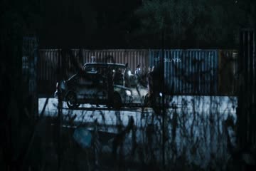 The White Storm 2 Drug Lords 2019 in hindi