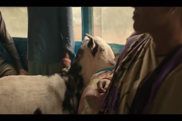 The White Tiger 2021 in Hindi