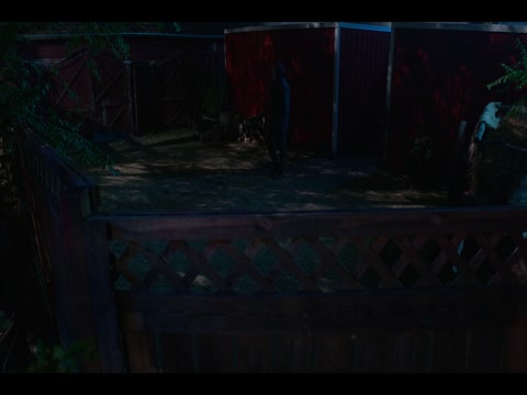 Time Cut 2024 in Hindi Dubb