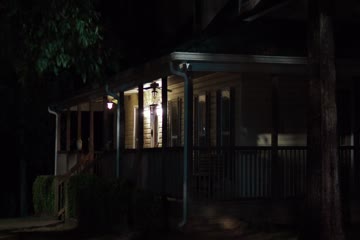 Trading Paint 2019 dubb in hindi