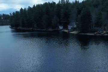 Trust No 1 2019 Dubb in Hindi