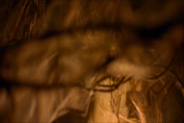 Tumbbad 2018