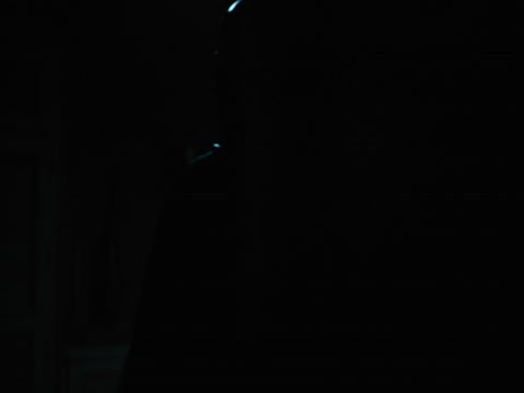 Until Dawn 2025 Hindi Dubb