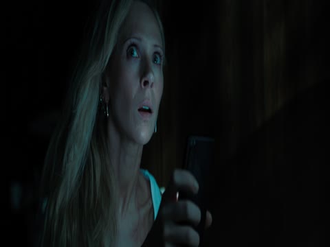 Venom The Last Dance 2024 in Hoindi Dubb