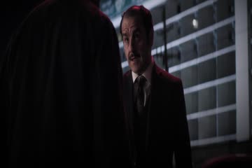 Wild Card 2015 Brip dubb in hindi