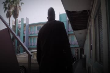 Wild Card 2015 Brip dubb in hindi