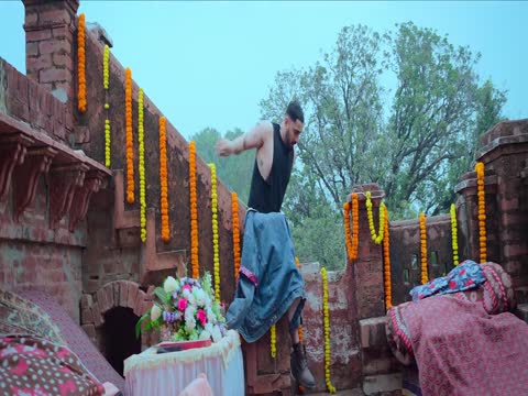 Wild Wild Punjab 2024 Hindi