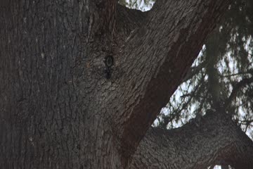 Windfall 2022 hindi dubb