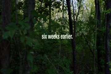 Wrong Turn 7 2021 in Hindi Dubb