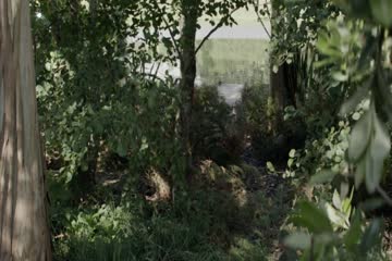 X 2022 Dubb in Hindi