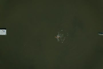 X 2022 Dubb in Hindi